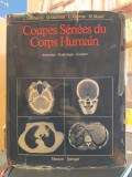 AS - J.GAMBARELLI - COUPES SERIEES DU CORPS HUMAN, ANATOMIE - RADIOLOGIE - SCANNER
