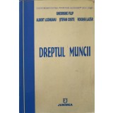 DREPTUL MUNCII-GHEORGHE FILIP, ALBERT LOZNEANU, STEFAN COSTE, ROXANA LAZAR-244307