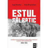 Estul salbatic. Expeditiile razboiului finlandez spre est si criza est-europeana. 1918 -1921 - Oula Silvennoinen, Aapo Roselius