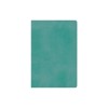 ESV Student Study Bible (Trutone, Turquoise)
