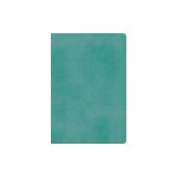 ESV Student Study Bible (Trutone, Turquoise)