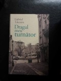 Dragul meu turnator - Gabriel Liiceanu | Carti Beletristica Romane Humanitas 2013 brosata