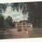 CA19 -Carte Postala- Cluj, vedere din parc, circulata 1965