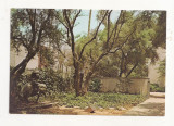 FA34-Carte Postala- SUA- Dabney Garden, California Institute of technology