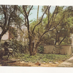 FA34-Carte Postala- SUA- Dabney Garden, California Institute of technology