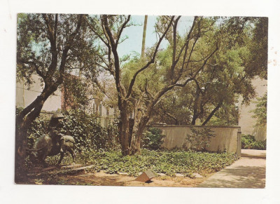 FA34-Carte Postala- SUA- Dabney Garden, California Institute of technology foto