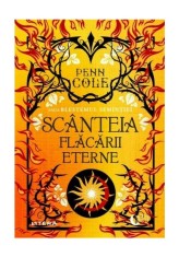 Visuri de bronz. Seria Faye, vol.3 - Litera