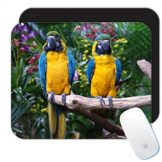 Gift Mousepad: Macaw Parrot foto