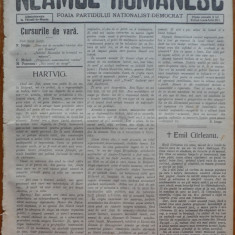 Ziarul Neamul romanesc , nr. 26 , 1914 , din perioada antisemita a lui N. Iorga