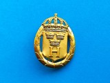 Insigna militara -Suedia-25-36 mm.--Oferta
