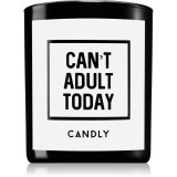 Candly &amp; Co. Can&#039;t adult today lum&acirc;nare parfumată 250 g