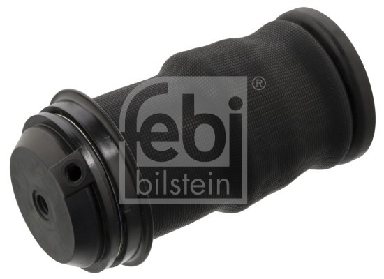 FEBI BILSTEIN 103210 Burduf, suspensie cabina sofer