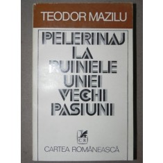 PELERINAJ LA RUINELE UNEI VECHI PASIUNI - TEODOR MAZILU 1980