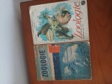 Lot 2 Manuale Zoologie