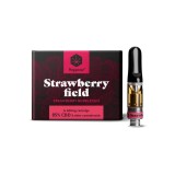 Pod CBD 85%, HAPPEASE, Strawberry Bubblegum