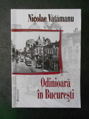 NICOLAE VATAMANU - ODINIOARA IN BUCURESTI (2007) foto