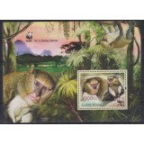 GUINEA BISSAU 2013 WWF FAUNA PROTEJATA MAIMUTE