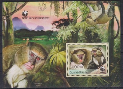 GUINEA BISSAU 2013 WWF FAUNA PROTEJATA MAIMUTE foto