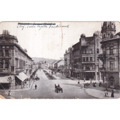 Cluj. Calea Regele Ferdinand (necirculata)