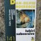 Dan-Silviu Boerescu - Iubiri Subversive