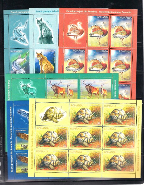 ROMANIA 2009 - FAUNA PROTEJATA DIN ROMANIA, MINICOLI, MNH - LP 1841b