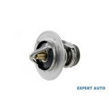 Termostat Nissan Almera 2 (2000->)[N16] #1