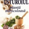 Usturoiul - planta miraculoasa