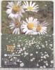Bnk card Cartela telefonica - 2003 80000 lei Flori 9(a)