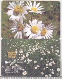 Bnk card Cartela telefonica - 2003 80000 lei Flori 9(a)