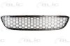 Grila ventilatie, bara protectie BMW Seria 1 (E81) (2006 - 2012) BLIC 6502-07-0085995P