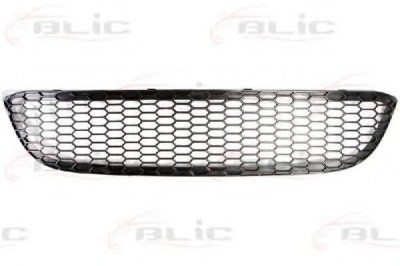 Grila ventilatie, bara protectie BMW Seria 1 (E81) (2006 - 2012) BLIC 6502-07-0085995P foto