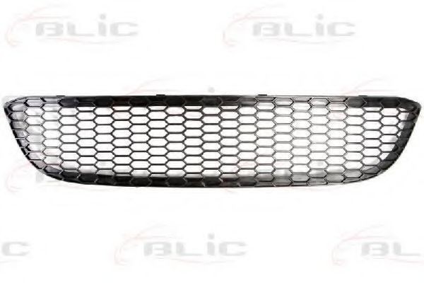 Grila ventilatie, bara protectie BMW Seria 1 (E81) (2006 - 2012) BLIC 6502-07-0085995P