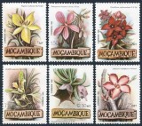 Mozambic 1981 - Flori, flora, serie neuzata