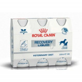 Cumpara ieftin Royal Canin Recovery Cat/ Dog Liquid, 3 x 0.2L