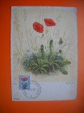 HOPCT MAXIMA NR 1053 FLORI DE MAC -1950 BELGIA -FLORA EUROPA