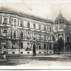 CPI Timisoara Sinagoga