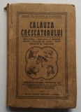 Hortopan - Calauza Crescatorului -Ingrijirea Si Bolile La Cai, Vaci, Oi Etc 1920, Alta editura