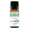 ZANNA ULEI ESENTIAL CAMFOR ALB 10ML