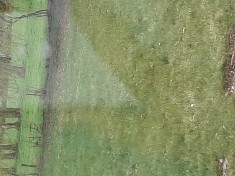 Teren intravilan in Sannicolau Roman