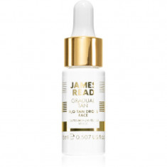 James Read Gradual Tan H2O Tan Drops picaturi pentru bronzare faciale 15 ml