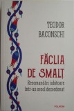 Faclia de smalt. Recomandari iubitoare intr-un secol dezordonat &ndash; Teodor Baconschi (cu autograf)