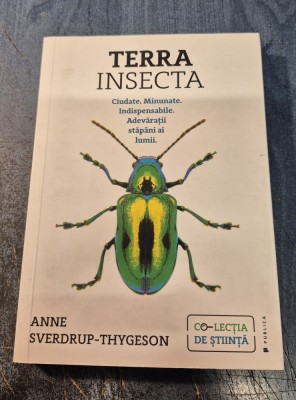 Terra insecta Anne Sverdrup Thygeson foto