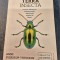 Terra insecta Anne Sverdrup Thygeson