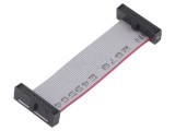 Cablu panglică SAMTEC IDC 50,8mm FFSD-10-D-02.00-01-N cu conectori IDC ambele părți
