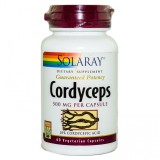 Cordyceps 60cps SECOM, SECOM HEALTHCARE