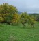 Foto  - 2
