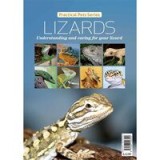 Lizards - Understanding and caring for your lizard