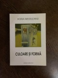 Horia Medeleanu Culoare si forma