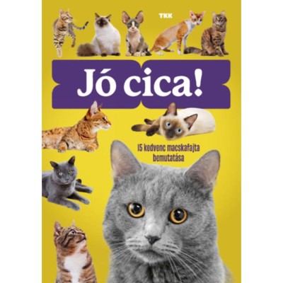 J&amp;oacute; cica! - 15 kedvenc macskafajta bemutat&amp;aacute;sa foto