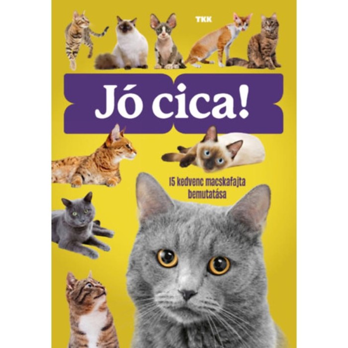 J&oacute; cica! - 15 kedvenc macskafajta bemutat&aacute;sa